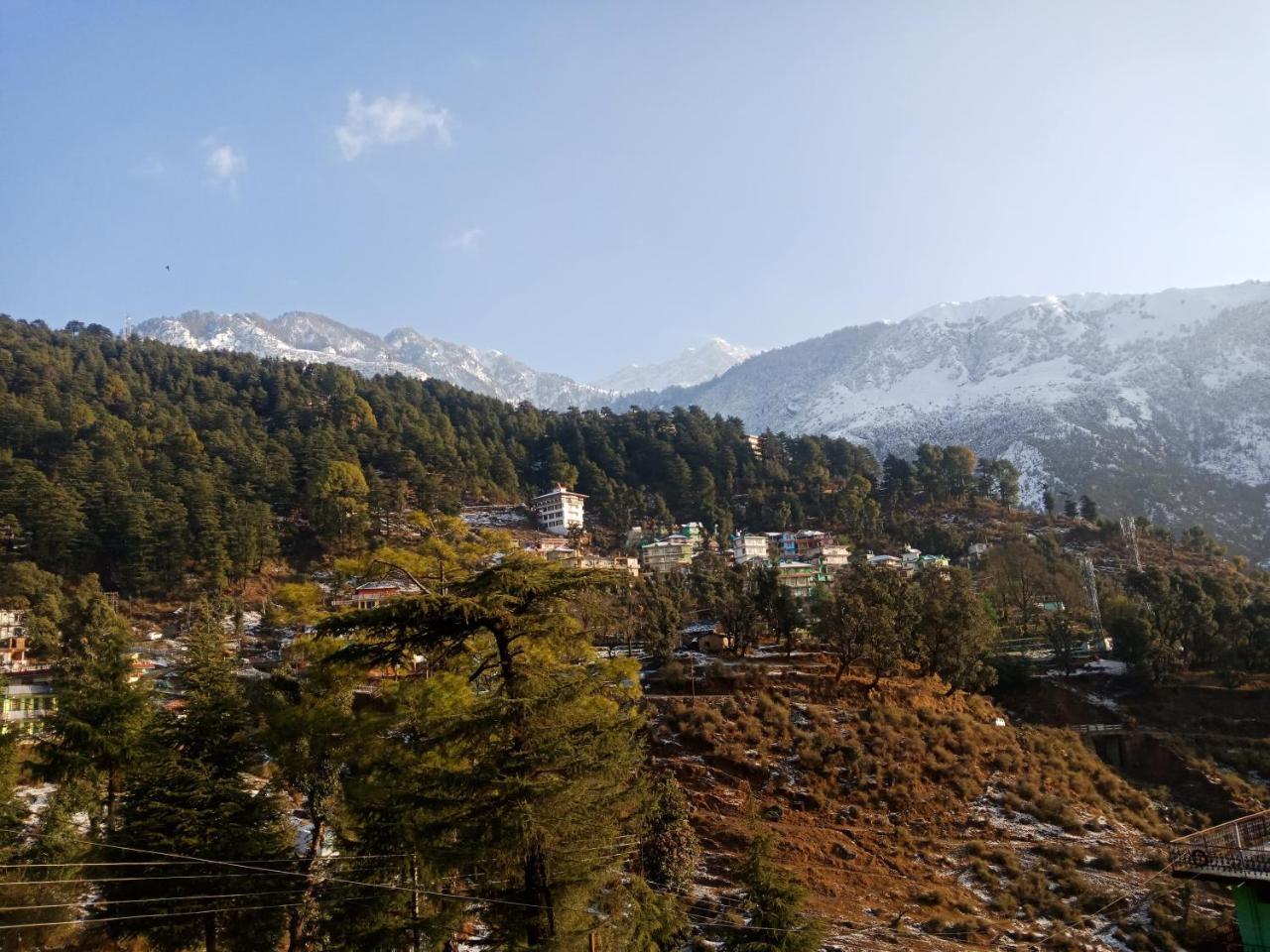 Hotel Pine Spring Dharamshala Eksteriør bilde