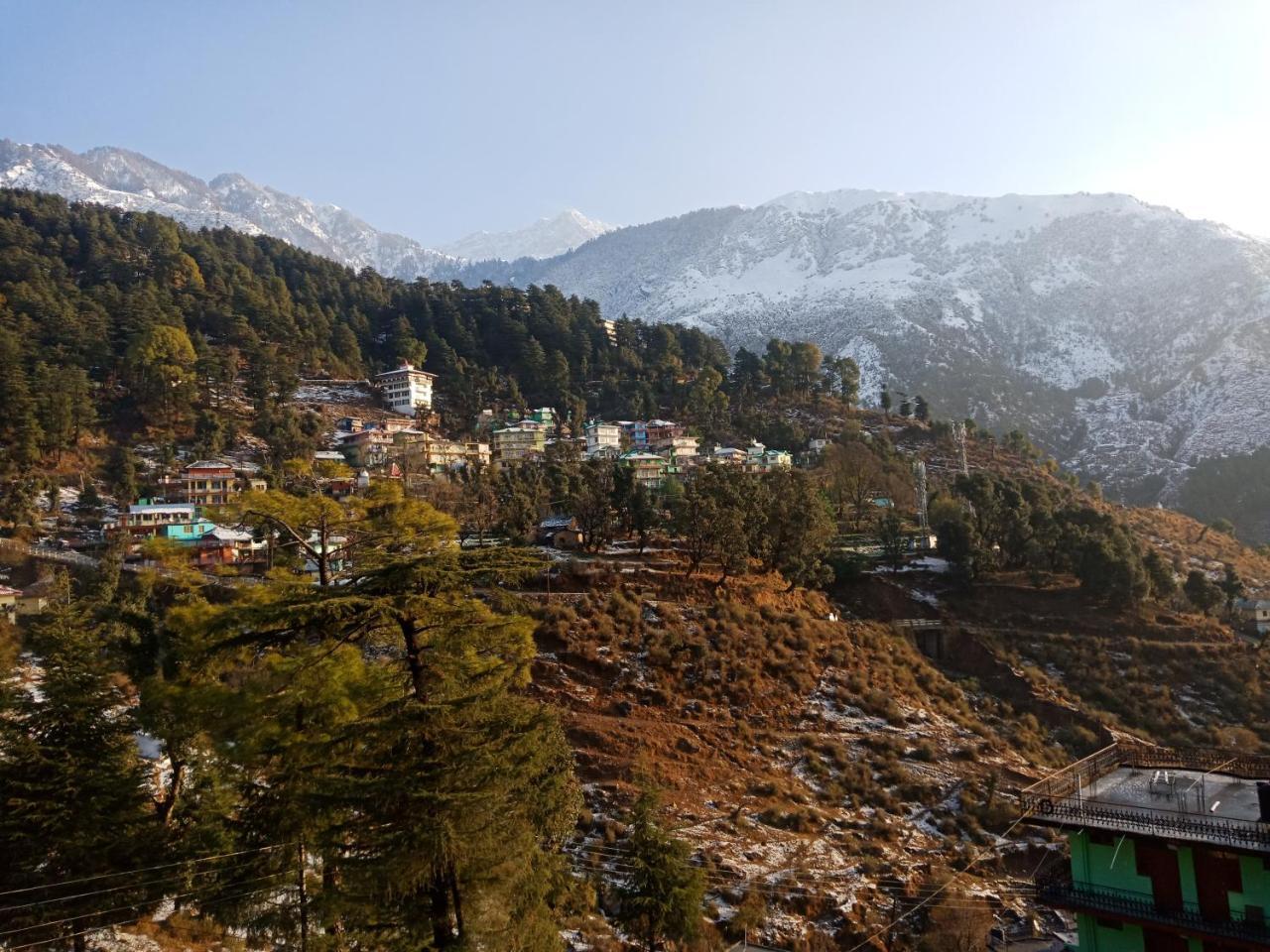 Hotel Pine Spring Dharamshala Eksteriør bilde