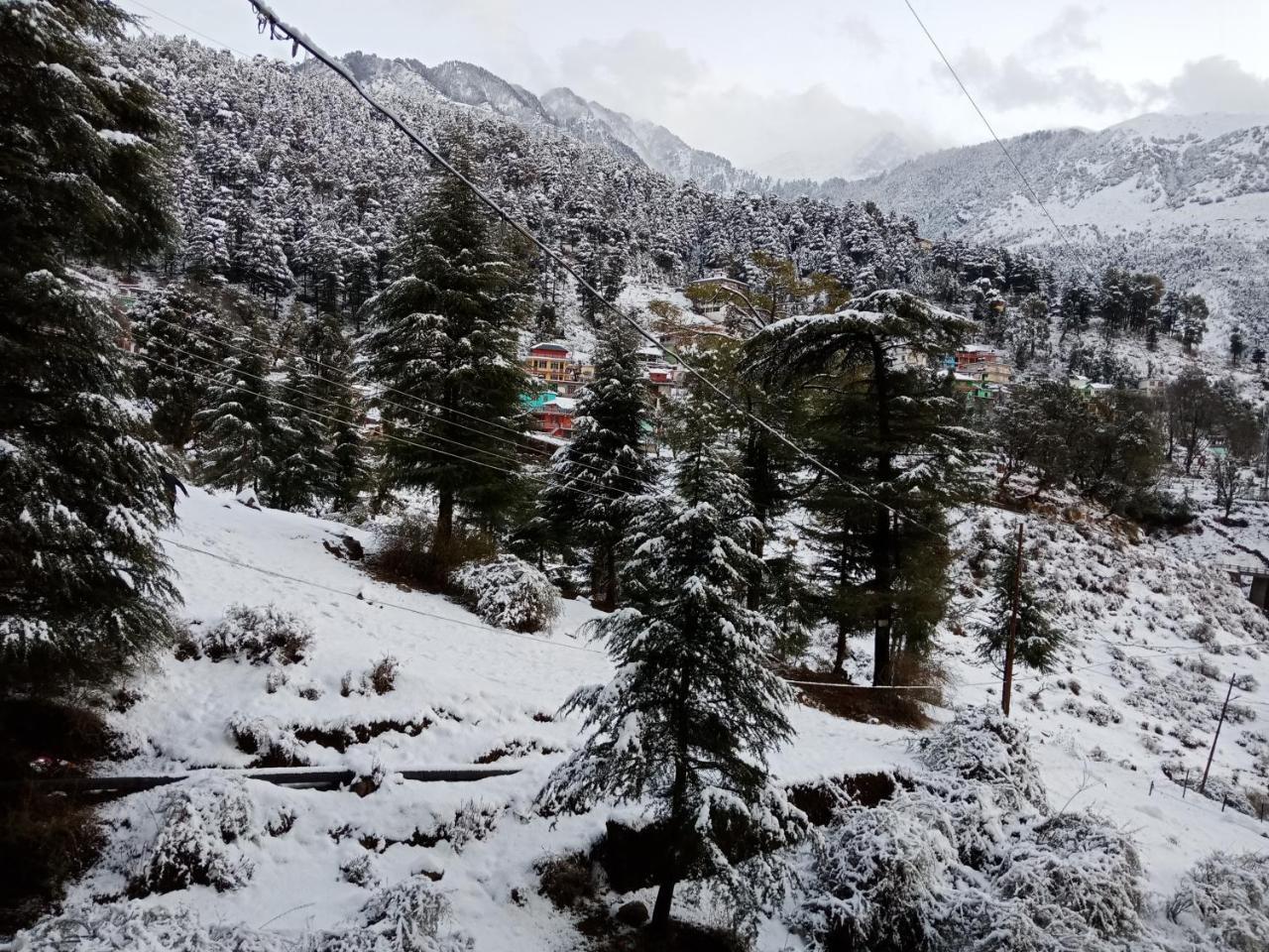 Hotel Pine Spring Dharamshala Eksteriør bilde