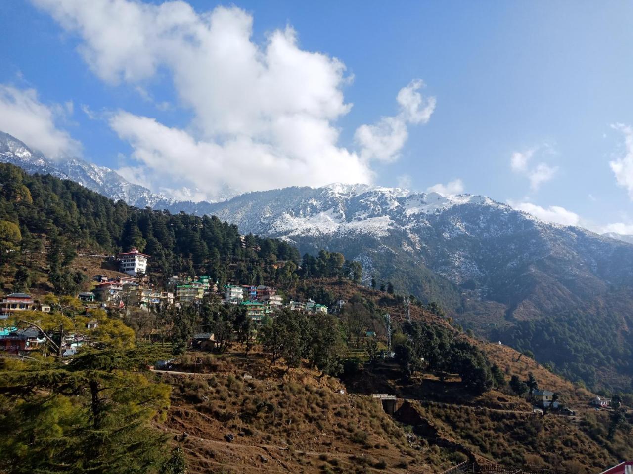 Hotel Pine Spring Dharamshala Eksteriør bilde