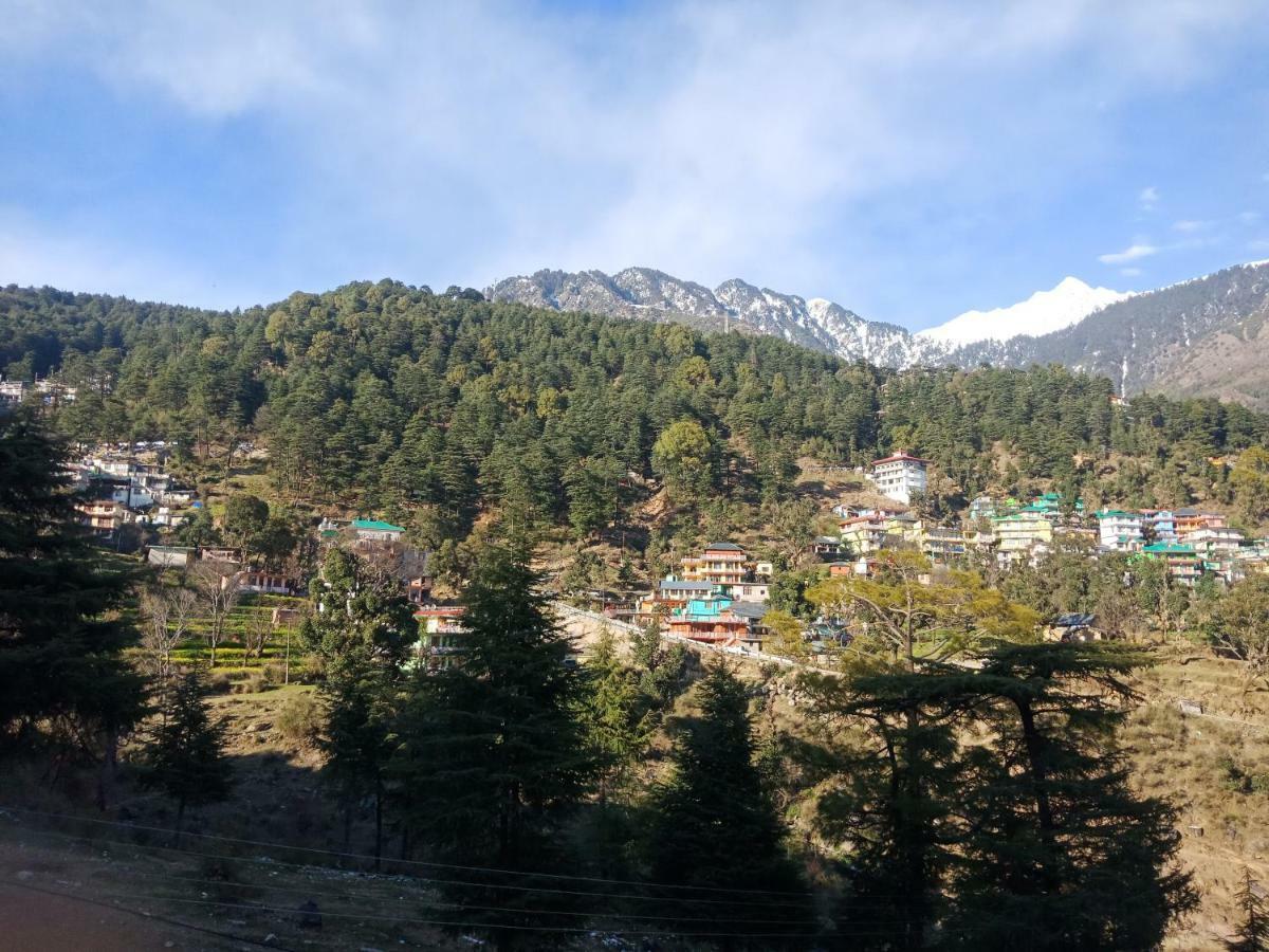 Hotel Pine Spring Dharamshala Eksteriør bilde